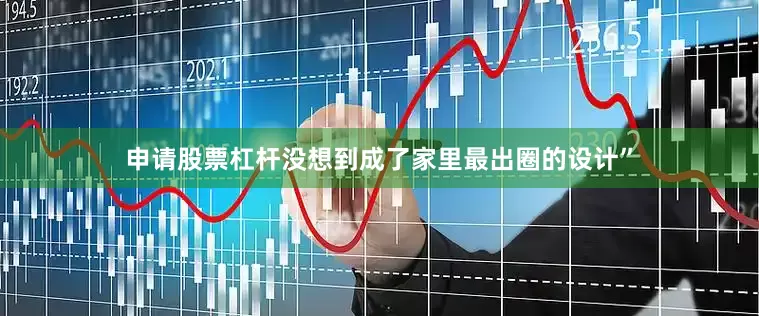 申请股票杠杆没想到成了家里最出圈的设计”